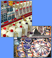 Dairy Products Merchandisers: Milk, Yogurt, Cheeses...