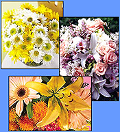 Floral Display Cases